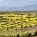 汉中旅游 缩略图 6