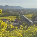汉中旅游 缩略图 1