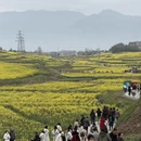 汉中旅游 缩略图 2