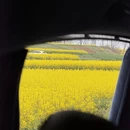 汉中旅游 缩略图 8