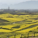 汉中旅游 缩略图 1