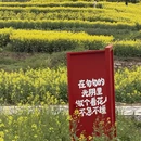 汉中旅游 缩略图 11