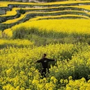 西安旅游 缩略图 1