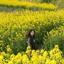 西安旅游 缩略图 3