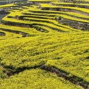 西安旅游 缩略图 5