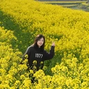 西安旅游 缩略图 9