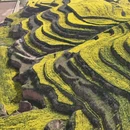西安旅游 缩略图 7