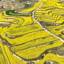西安旅游 缩略图 2