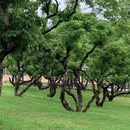 深圳旅游 缩略图 15