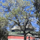 北京旅游 缩略图 1