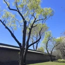 北京旅游 缩略图 10