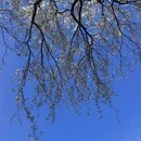 北京旅游 缩略图 9