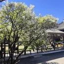 北京旅游 缩略图 12