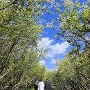 北京旅游 缩略图 14