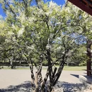 北京旅游 缩略图 13