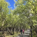 北京旅游 缩略图 15