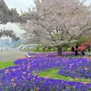 上海旅游 缩略图 2