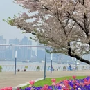 上海旅游 缩略图 6