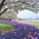 上海旅游 缩略图 8