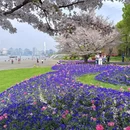 上海旅游 缩略图 2