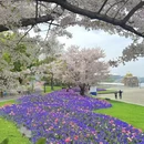 上海旅游 缩略图 5