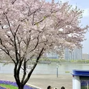 上海旅游 缩略图 11