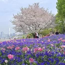 上海旅游 缩略图 9