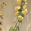 上海旅游 缩略图 4