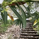 东莞旅游 缩略图 3