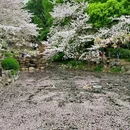 上海旅游 缩略图 4