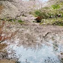 上海旅游 缩略图 7