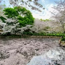 上海旅游 缩略图 9