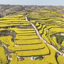 西安旅游 缩略图 10