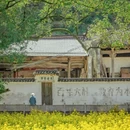 黄山旅游 缩略图 2