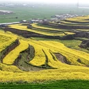 西安旅游 缩略图 12