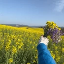 汉中旅游 缩略图 5