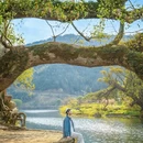 黄山旅游 缩略图 6