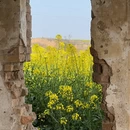 西安旅游 缩略图 8