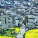 黄山旅游 缩略图 5