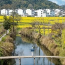 黄山旅游 缩略图 8