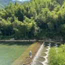 黄山旅游 缩略图 15
