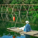 黄山旅游 缩略图 14