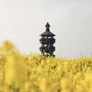 泰州旅游 缩略图 3