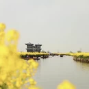 泰州旅游 缩略图 4