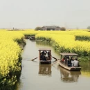 泰州旅游 缩略图 9