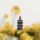 泰州旅游 缩略图 5