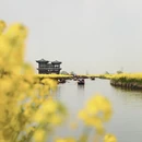 泰州旅游 缩略图 6