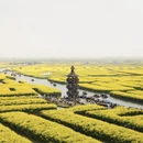 泰州旅游 缩略图 7