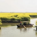 泰州旅游 缩略图 8