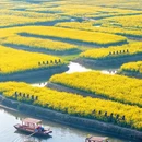 泰州旅游 缩略图 1